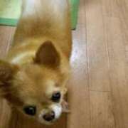 ヒメ日記 2025/03/12 16:44 投稿 荒木 熟女の風俗最終章 横浜本店