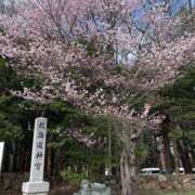 荒木 久しぶりの出勤予定(*^^*) 熟女の風俗最終章 横浜本店