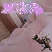 ヒメ日記 2025/03/21 08:06 投稿 しずく スピードエコ梅田店