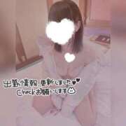 ヒメ日記 2026/03/14 07:16 投稿 しずく スピードエコ梅田店