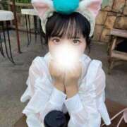 なのか【寂しがりの甘えたがり】 顔、忘れちゃったでしょ☹️ STELLA NEXT－ステラネクスト－