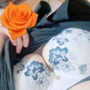 ヒメ日記 2026/03/25 09:49 投稿 みき 諭吉で2度ヌキ！