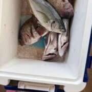 ヒメ日記 2025/02/05 10:01 投稿 あいな⭐✖1【ドエロ妻】 やん姫SP