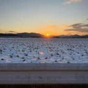 ヒメ日記 2025/02/13 16:13 投稿 あいな⭐✖1【ドエロ妻】 やん姫SP