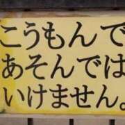 ヒメ日記 2025/04/16 11:40 投稿 あいな⭐✖1【ドエロ妻】 やん姫SP