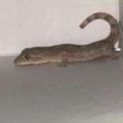 ヒメ日記 2025/07/05 07:56 投稿 あいな⭐✖1【ドエロ妻】 やん姫SP