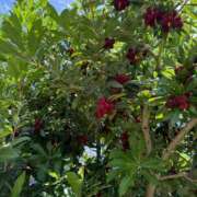 ヒメ日記 2025/07/07 15:22 投稿 あいな⭐✖1【ドエロ妻】 やん姫SP