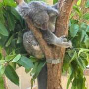 ヒメ日記 2025/07/21 22:12 投稿 あいな⭐✖1【ドエロ妻】 やん姫SP