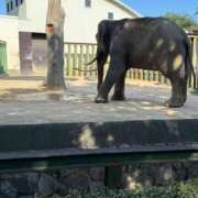 ヒメ日記 2025/07/23 10:41 投稿 あいな⭐✖1【ドエロ妻】 やん姫SP