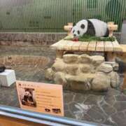 ヒメ日記 2025/07/25 12:55 投稿 あいな⭐✖1【ドエロ妻】 やん姫SP