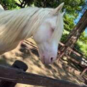 ヒメ日記 2025/07/26 11:00 投稿 あいな⭐✖1【ドエロ妻】 やん姫SP