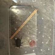 ヒメ日記 2025/08/02 14:55 投稿 あいな⭐✖1【ドエロ妻】 やん姫SP