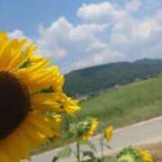 ヒメ日記 2025/09/10 12:15 投稿 あいな⭐✖1【ドエロ妻】 やん姫SP