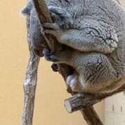 ヒメ日記 2025/09/11 18:03 投稿 あいな⭐✖1【ドエロ妻】 やん姫SP