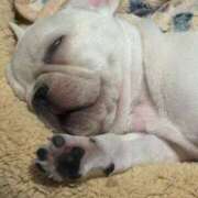 ヒメ日記 2025/10/18 18:15 投稿 あいな⭐✖1【ドエロ妻】 やん姫SP