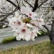 ヒメ日記 2026/04/12 12:23 投稿 あいな⭐✖1【ドエロ妻】 やん姫SP