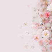 ヒメ日記 2025/02/19 20:57 投稿 みき 完熟ばなな 上野店