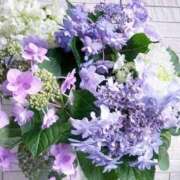 ヒメ日記 2025/06/17 14:16 投稿 みき 完熟ばなな 上野店