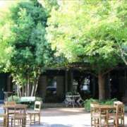 ヒメ日記 2025/05/01 22:05 投稿 あゆ 奥様鉄道69 東京店