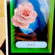 ヒメ日記 2025/05/02 18:55 投稿 あゆ 奥様鉄道69 東京店