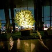 ヒメ日記 2025/05/06 21:35 投稿 あゆ 奥様鉄道69 東京店