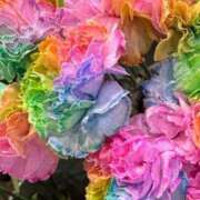 ヒメ日記 2025/05/09 13:25 投稿 あゆ 奥様鉄道69 東京店