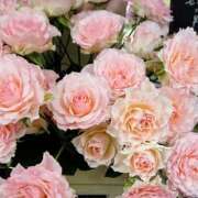 ヒメ日記 2025/05/27 21:45 投稿 あゆ 奥様鉄道69 東京店