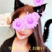 ヒメ日記 2025/11/17 12:05 投稿 あゆ 奥様鉄道69 東京店