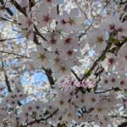 ヒメ日記 2026/04/16 10:01 投稿 ゆず 佐久上田人妻隊