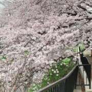 ヒメ日記 2025/01/18 07:49 投稿 桜葉 川越勃たせる妻たち