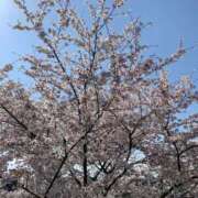 ヒメ日記 2025/02/21 07:36 投稿 桜葉 川越勃たせる妻たち