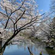 ヒメ日記 2025/03/26 07:32 投稿 桜葉 川越勃たせる妻たち