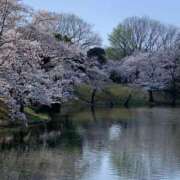 ヒメ日記 2025/03/28 07:29 投稿 桜葉 川越勃たせる妻たち