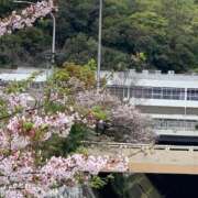 ヒメ日記 2025/04/21 14:48 投稿 桜葉 川越勃たせる妻たち