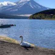 ヒメ日記 2025/07/22 07:26 投稿 桜葉 川越勃たせる妻たち