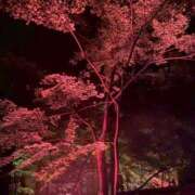 ヒメ日記 2025/11/09 08:37 投稿 桜葉 川越勃たせる妻たち