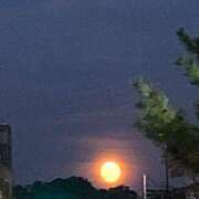 ヒメ日記 2025/11/10 07:25 投稿 桜葉 川越勃たせる妻たち