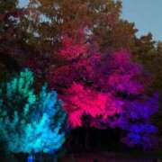 ヒメ日記 2025/11/20 07:22 投稿 桜葉 川越勃たせる妻たち