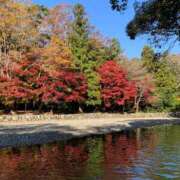 ヒメ日記 2025/12/02 06:45 投稿 桜葉 川越勃たせる妻たち