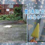 ヒメ日記 2024/07/16 01:44 投稿 はるか 豊満熟女