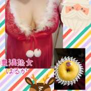 ヒメ日記 2024/12/24 00:56 投稿 はるか 豊満熟女