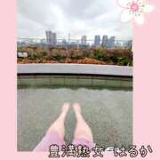 ヒメ日記 2025/03/12 01:10 投稿 はるか 豊満熟女