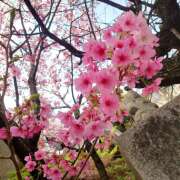 ヒメ日記 2025/04/05 14:16 投稿 はるか 豊満熟女