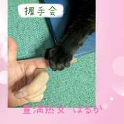 ヒメ日記 2025/06/11 01:20 投稿 はるか 豊満熟女