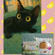 ヒメ日記 2025/07/12 00:36 投稿 はるか 豊満熟女