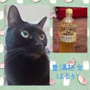 ヒメ日記 2025/08/14 02:12 投稿 はるか 豊満熟女