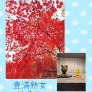 はるか 紅葉は綺麗だった 豊満熟女