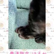 ヒメ日記 2026/02/04 10:58 投稿 はるか 豊満熟女