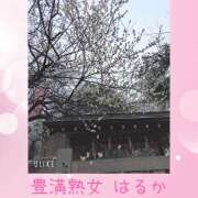 ヒメ日記 2026/02/15 01:10 投稿 はるか 豊満熟女