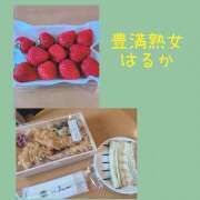 ヒメ日記 2026/04/03 23:38 投稿 はるか 豊満熟女